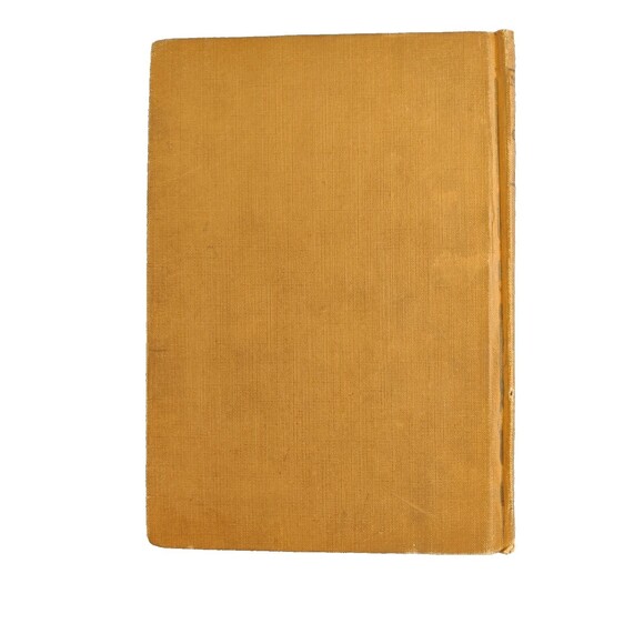 Antique Michigan State & Local Government HC Book WJ McKone 1921 edition - Picture 2 of 13